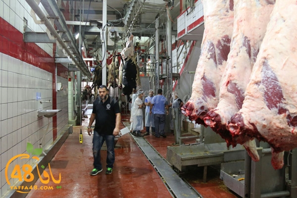 Jam3iya ada7ya (18).jpg